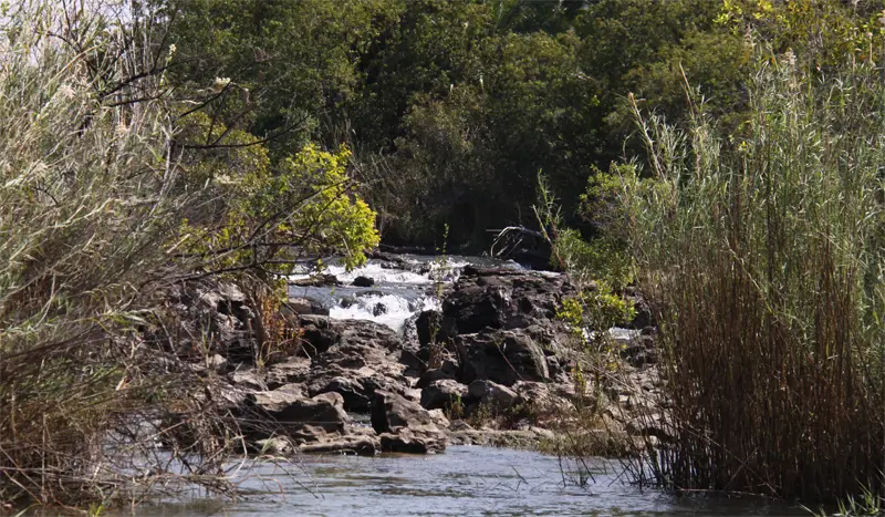 PopaFalls1102.jpg