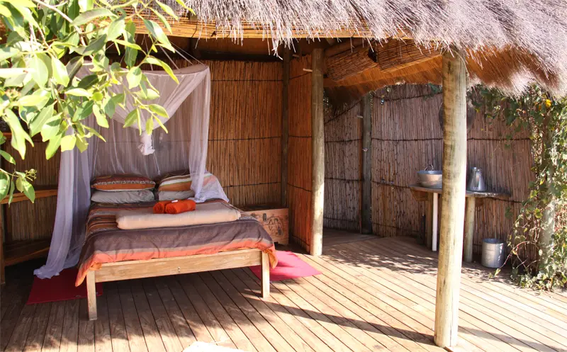 TreeHouse1101.jpg
