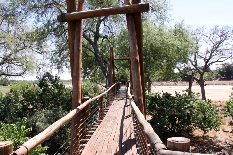 TreetopWalk71.jpg