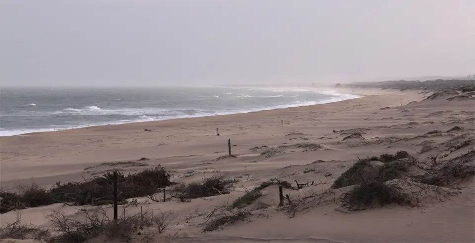 UmlalaziStrand2.jpg