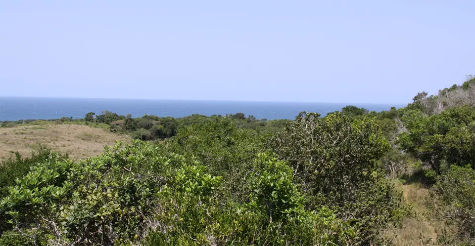 Viewpoint2.jpg