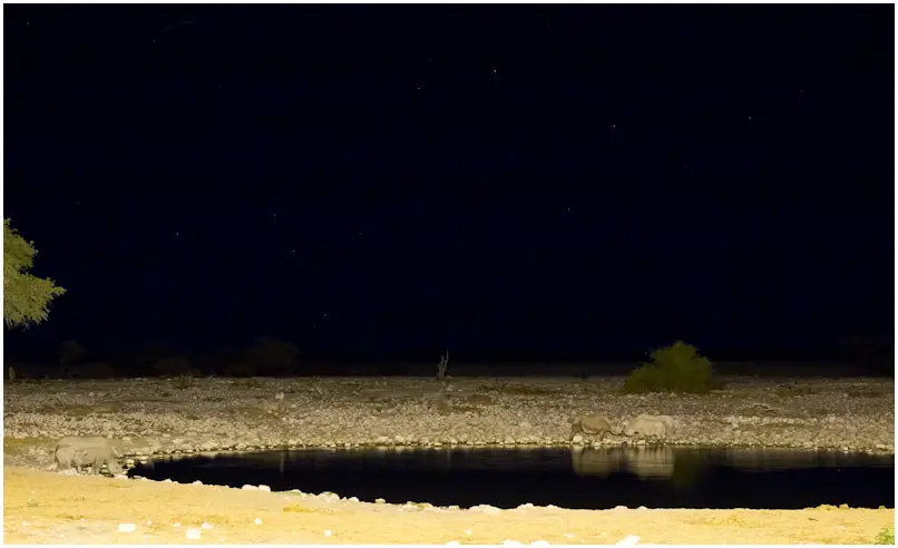 Wasserloch-10.jpg