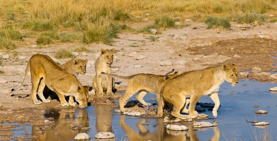 WassertretenI-4.jpg