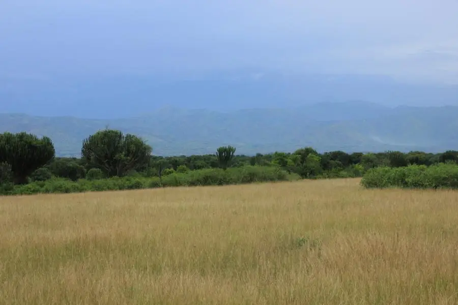 K800_QENPLandschaft.JPG