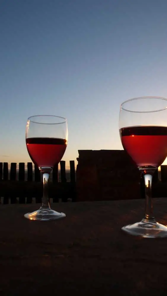 vino.JPG