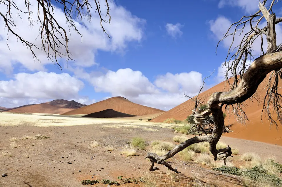 Sossusvlei051.jpg