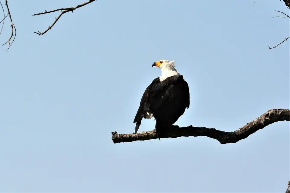 comp_DSC_3213.jpg