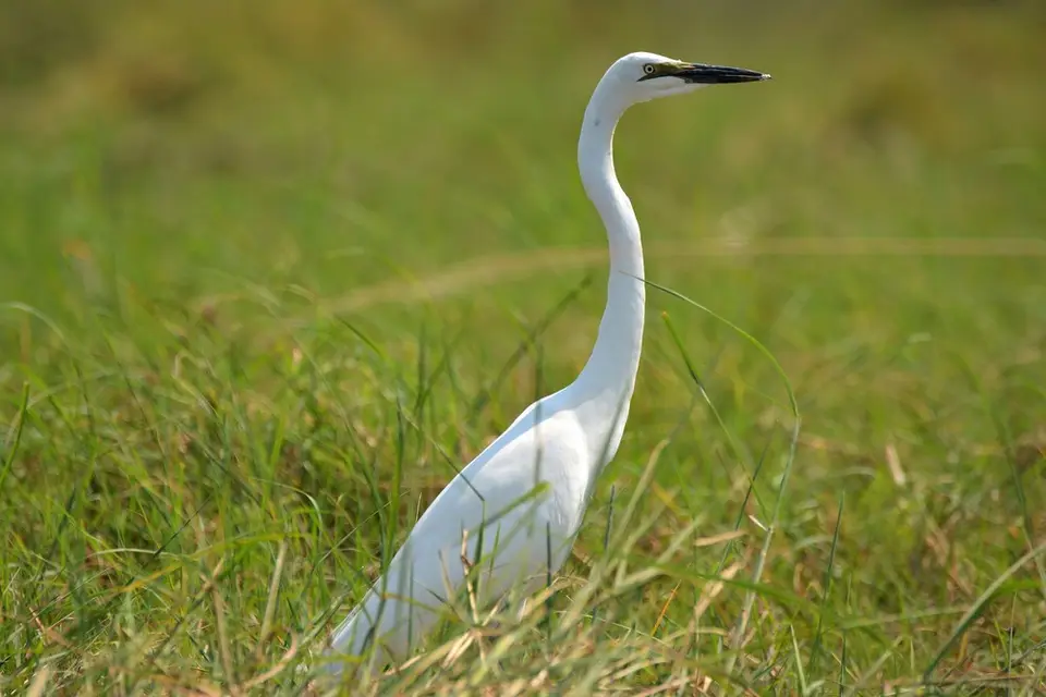 comp_DSC_3478.jpg