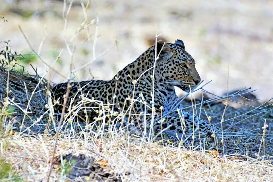 comp_DSC_4260.jpg