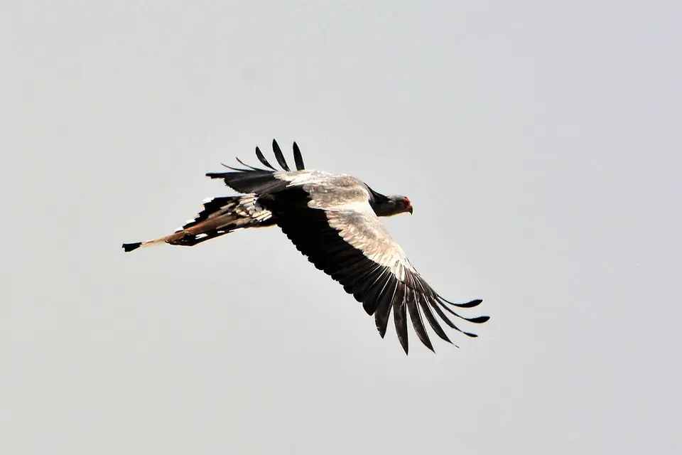 comp_DSC_4547.jpg