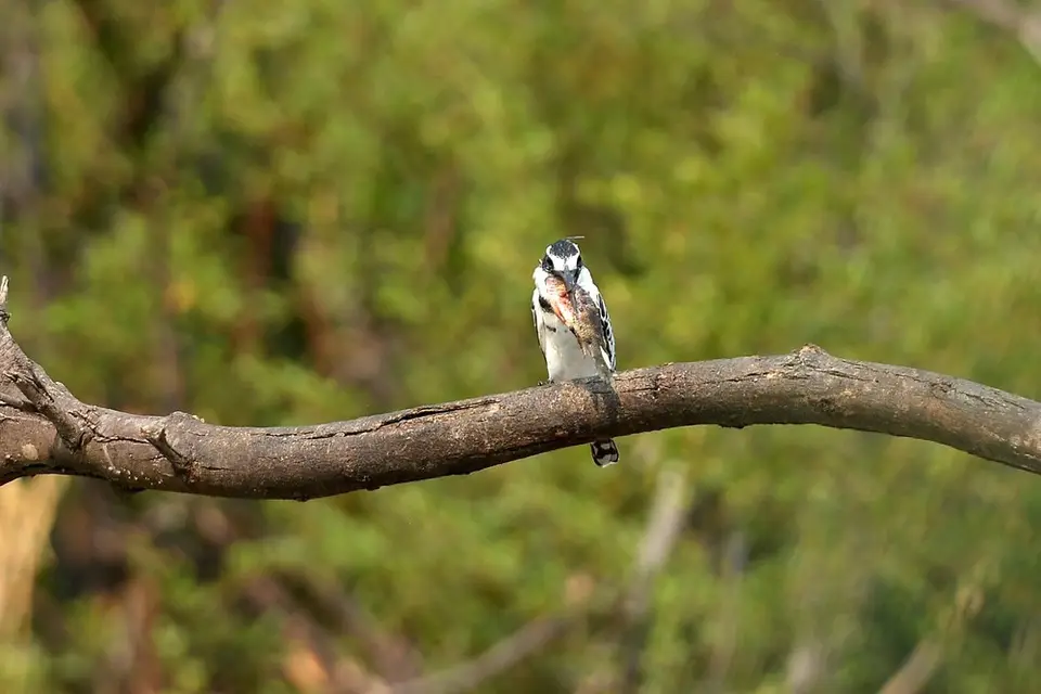 comp_DSC_5030.jpg
