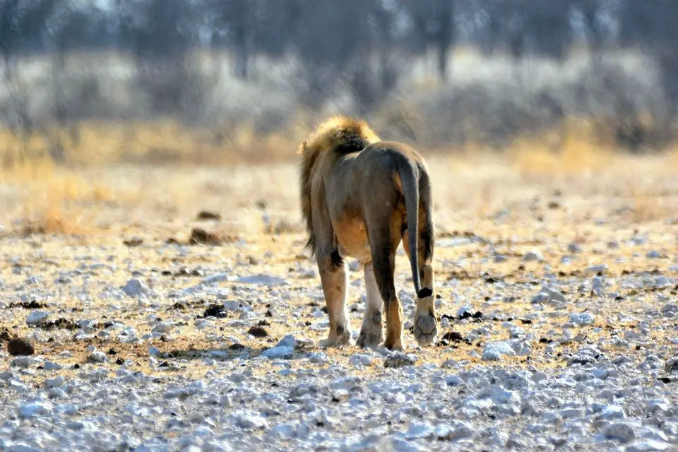 comp_DSC_6769.jpg