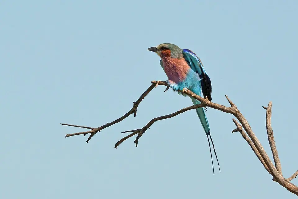 comp_DSC_9377.jpg