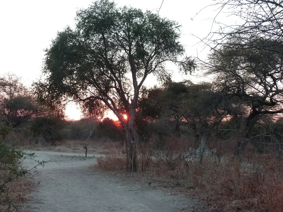 comp_P1070263.jpg