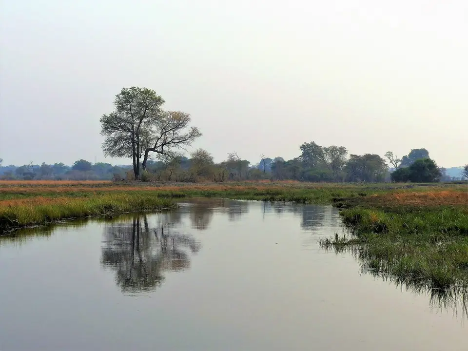 comp_P1080648.jpg