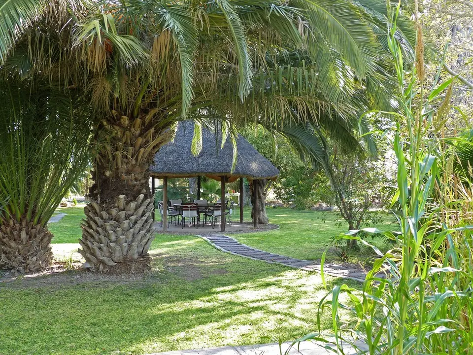 comp_P1090135.jpg