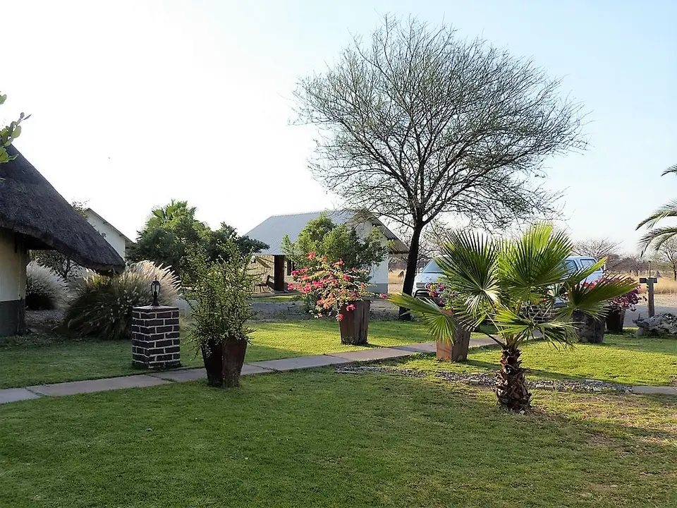 comp_P1090149.jpg