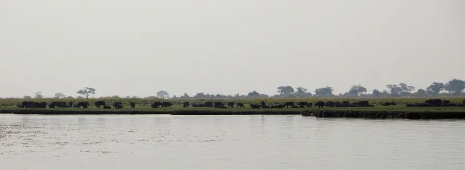 h3f54261.jpg