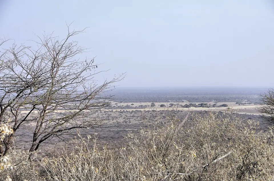 h55637c5.jpg