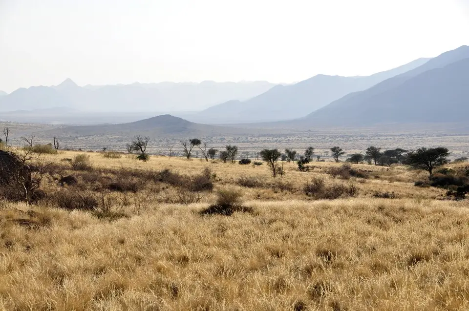 h9ade401.jpg
