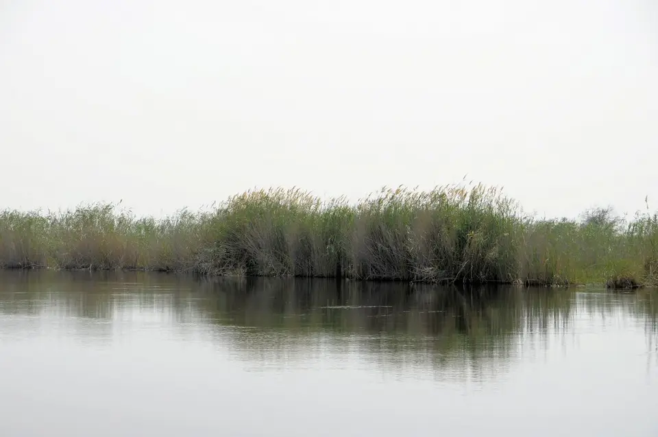 hb3428b5.jpg