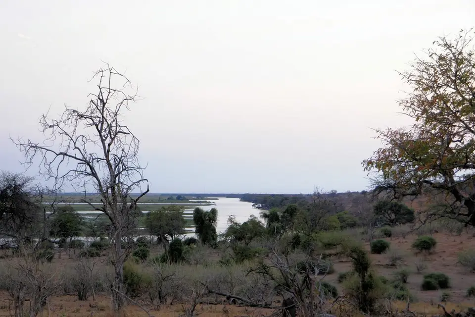 hce031d7.jpg