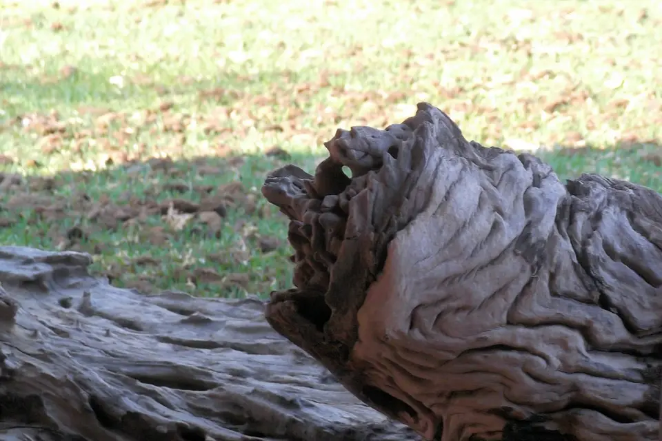 hd0ca76e.jpg