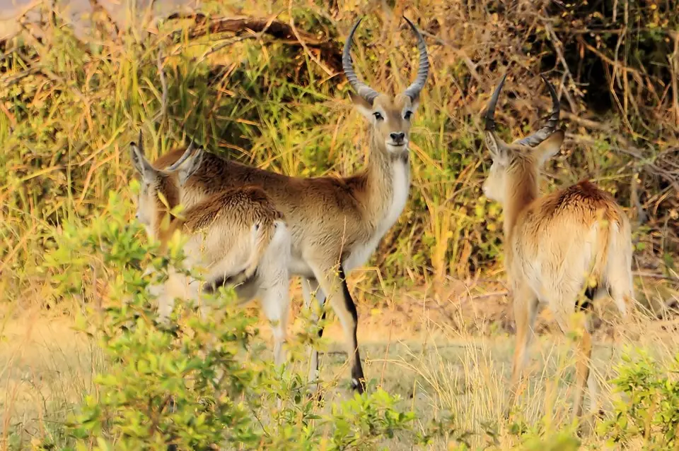 hf5a8682.jpg