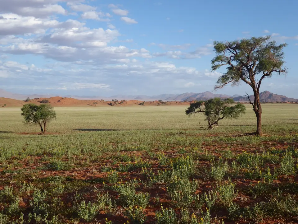 20_Bild4.jpg