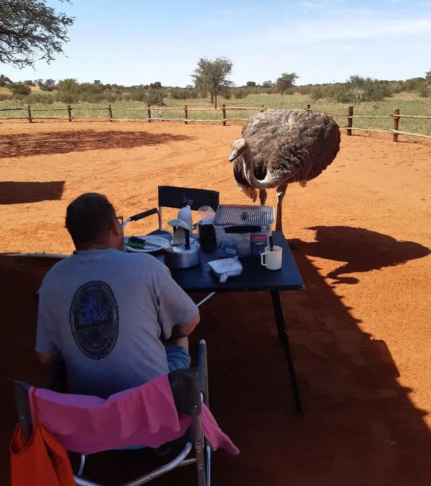 25_Bild4.jpg