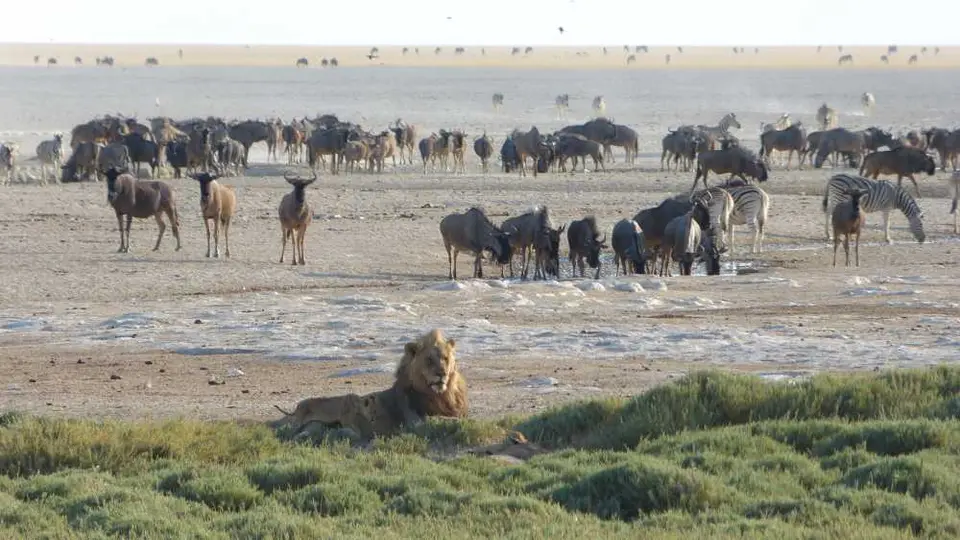 Afrika2011490.JPG