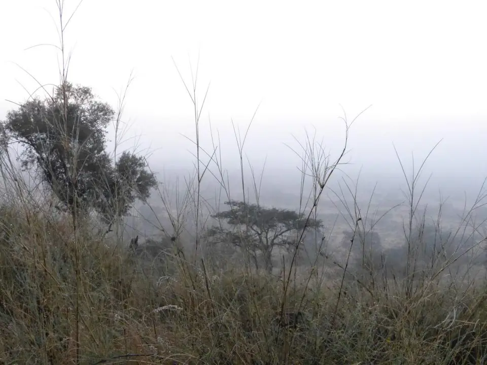 P1070044.JPG