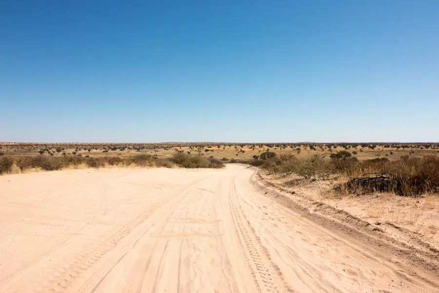 IMG_8079.JPG