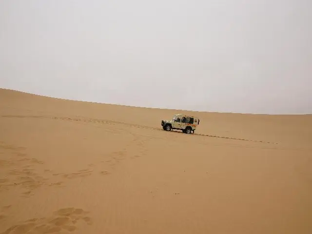 18.JPG