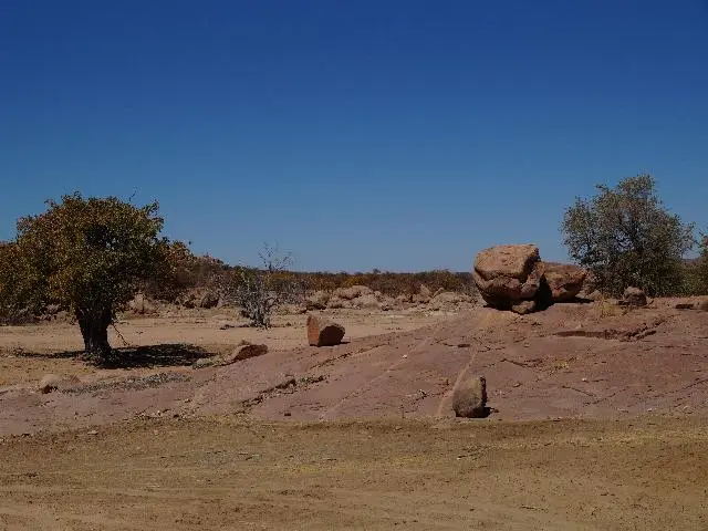 29.JPG