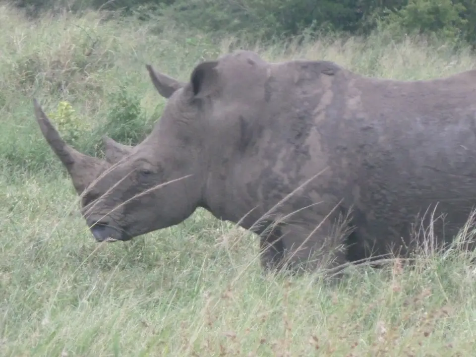 h7120877.JPG