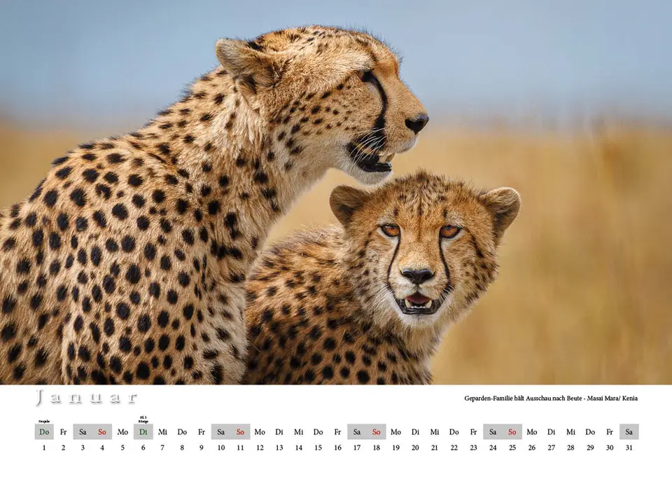 CalendarFormat45x30,Surfacepremiummattepaper-CWC2026deutschVariante12.jpg