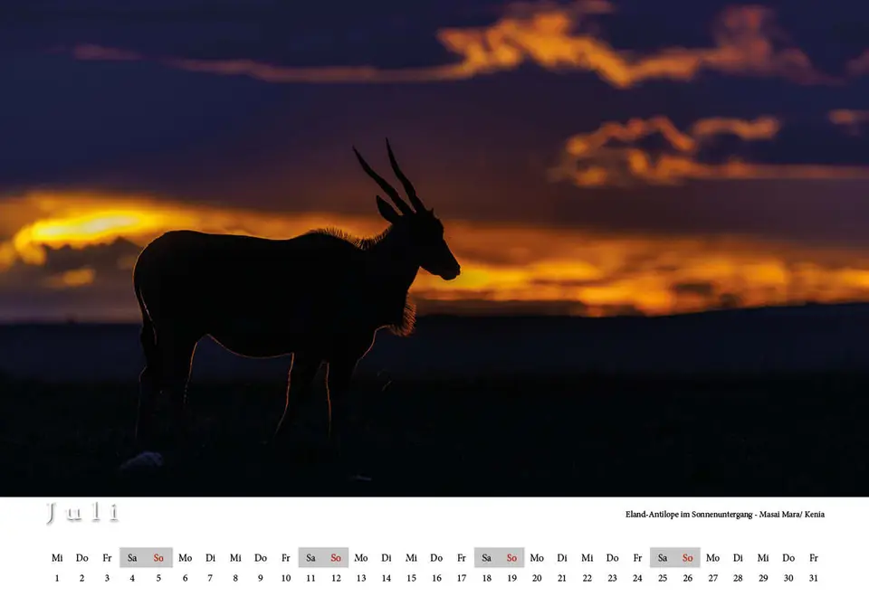 CalendarFormat45x30,Surfacepremiummattepaper-CWC2026deutschVariante18.jpg