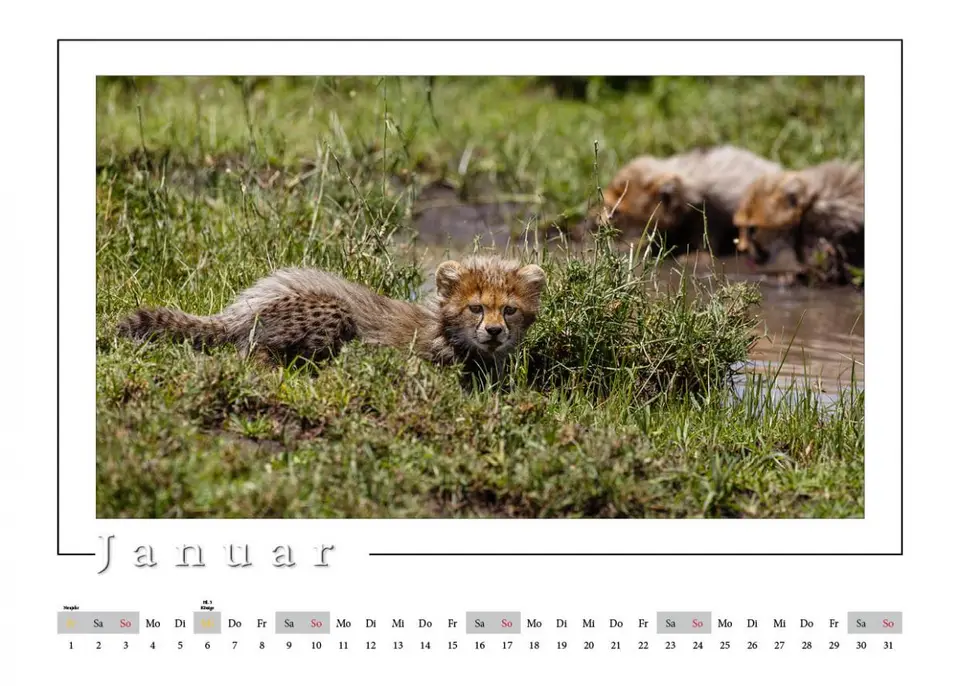 h2917a7d.jpg