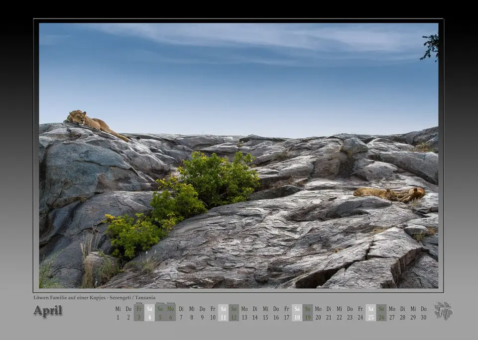 hc6462fb.jpg