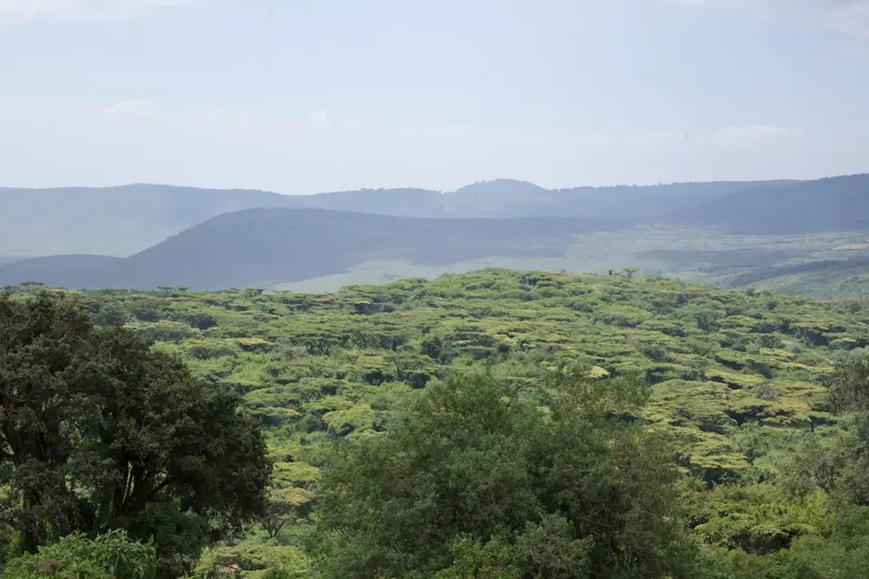 Crater792.jpg
