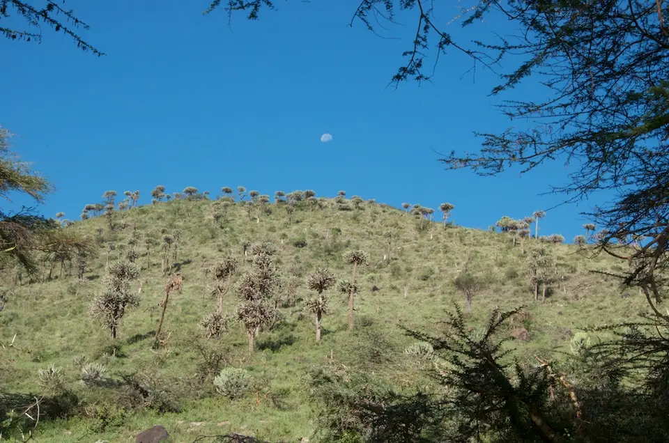 Crater_758.jpg