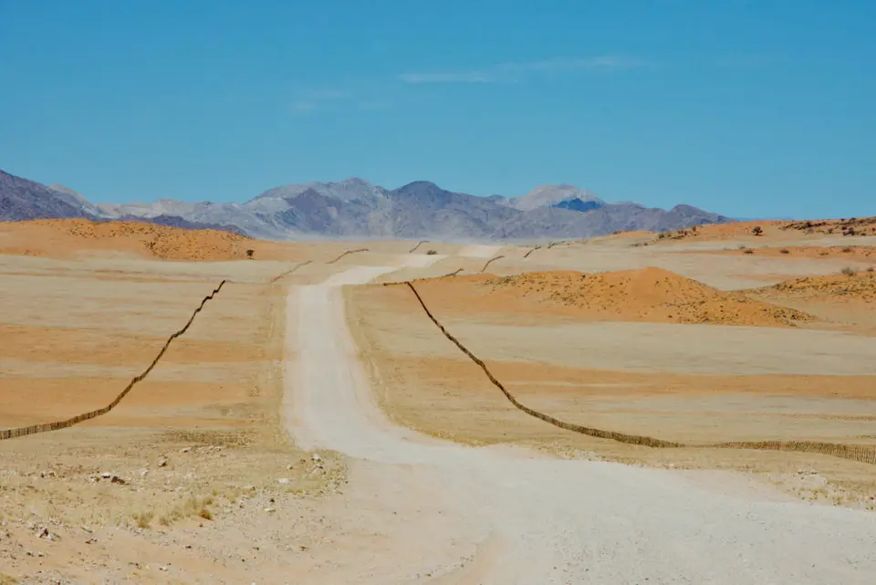 D72_6665-2.jpeg