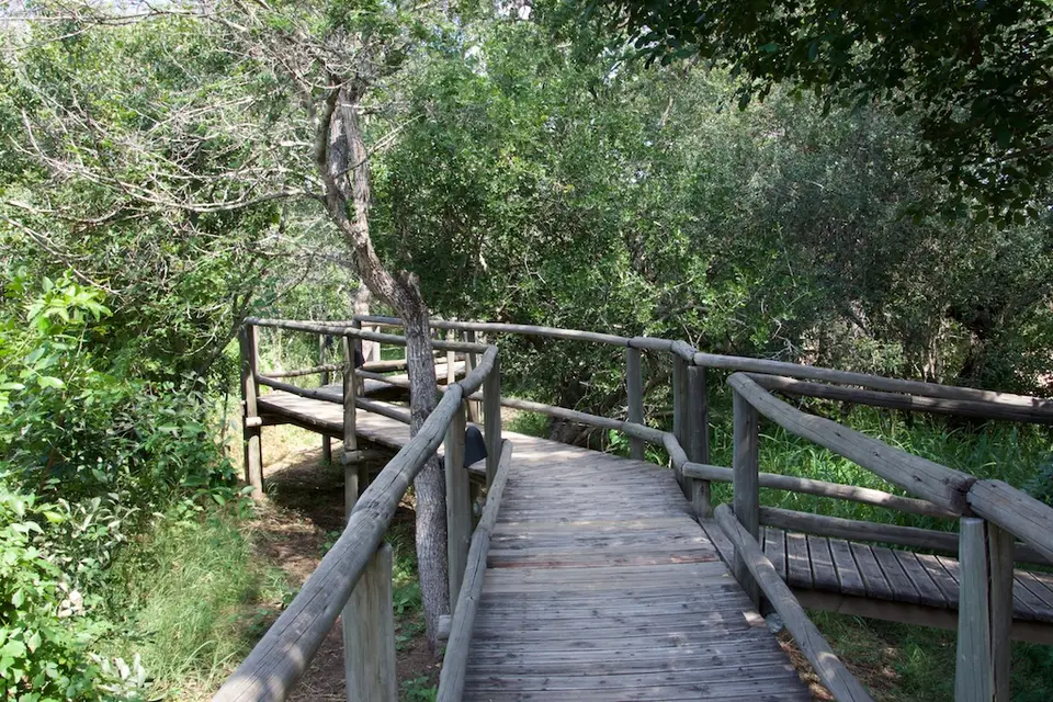 KNP025(1).jpg