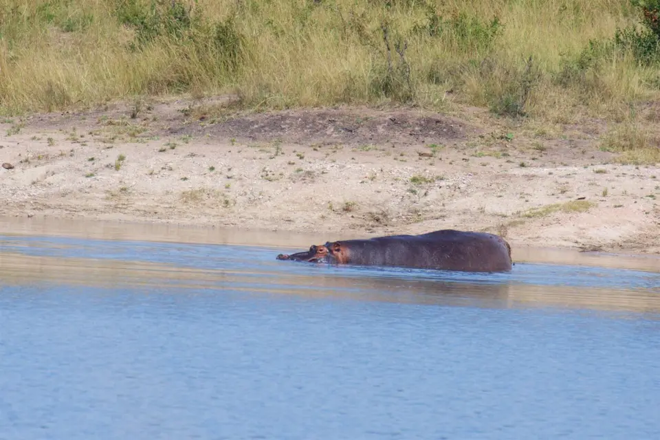 KNP031.jpg