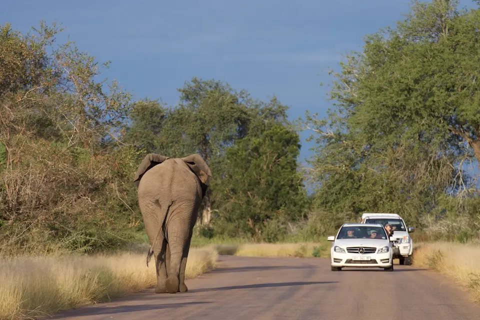 KNP053.jpg
