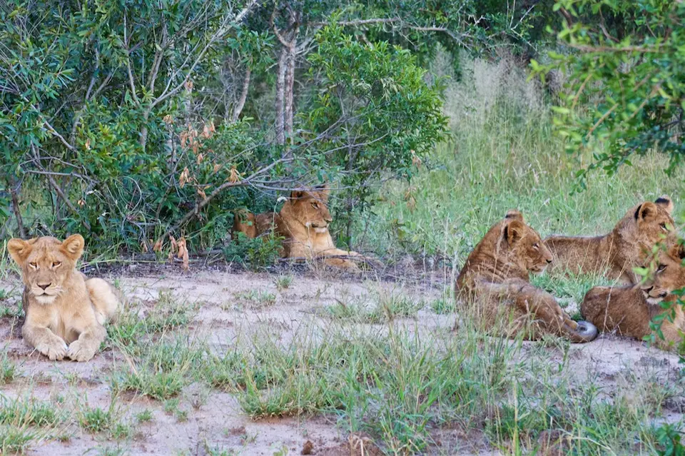 KNP072.jpg