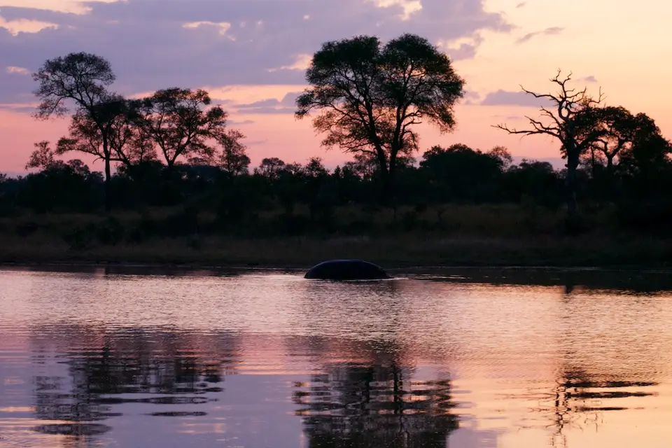 KNP077.jpg