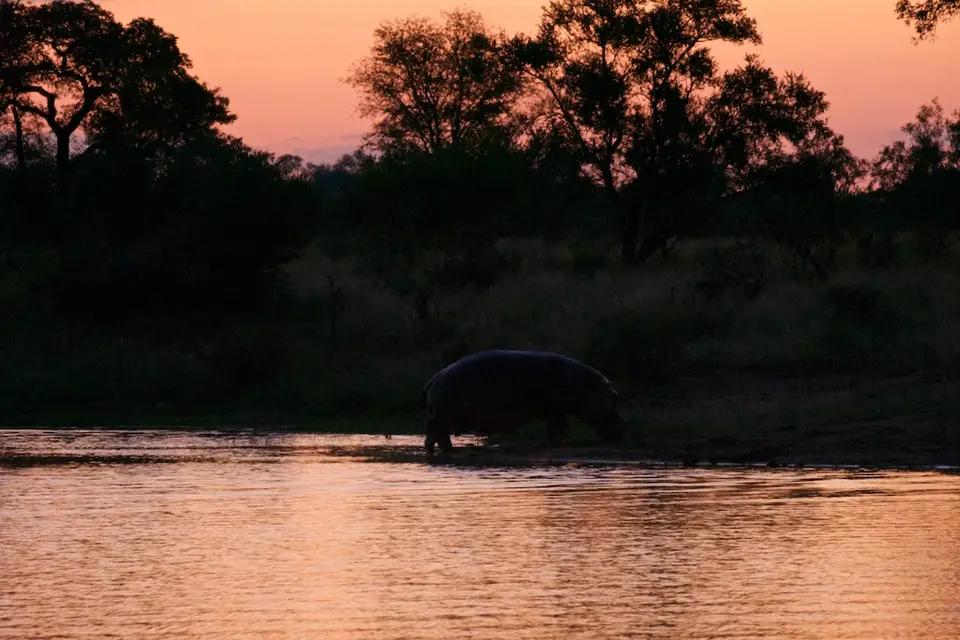 KNP078-2.jpg