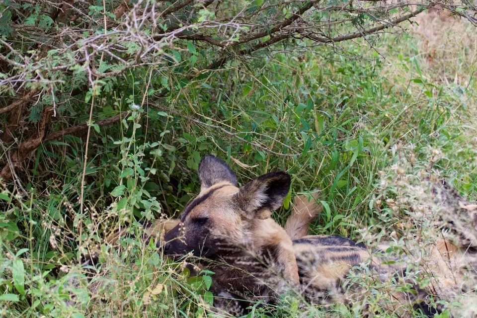 KNP078.jpg